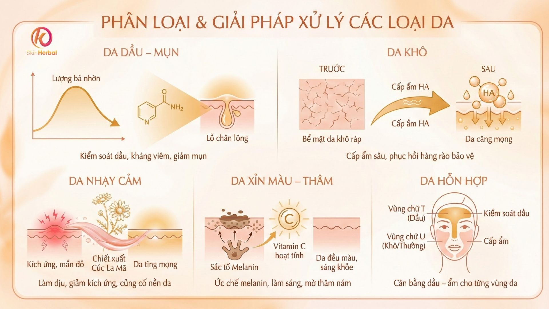 Ph&acirc;n loại v&agrave; xử l&yacute; c&aacute;c loại da