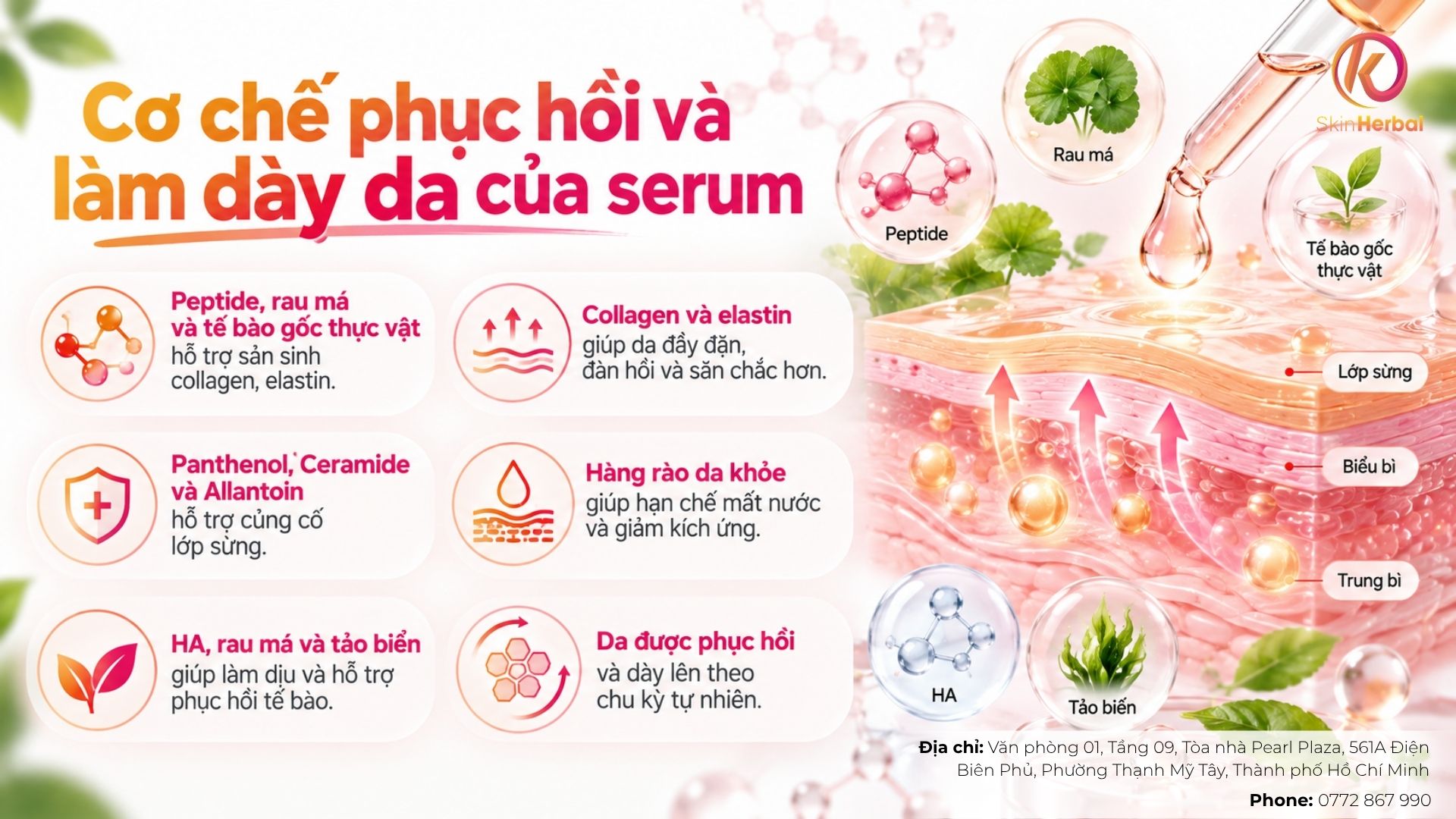 serum-lam-day-da-mat-hoat-dong-nhu-the-nao Serum làm dày da mặt hoạt động như thế nào?